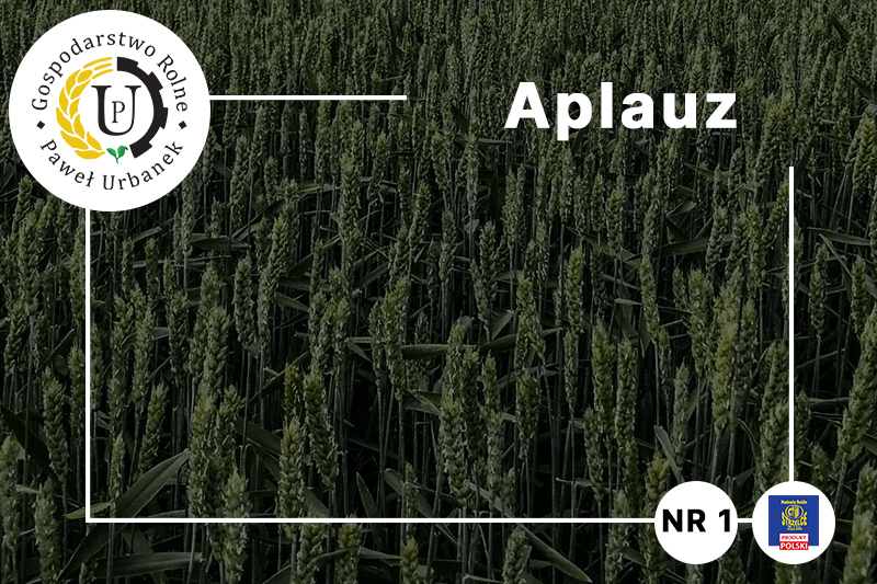 Aplauz